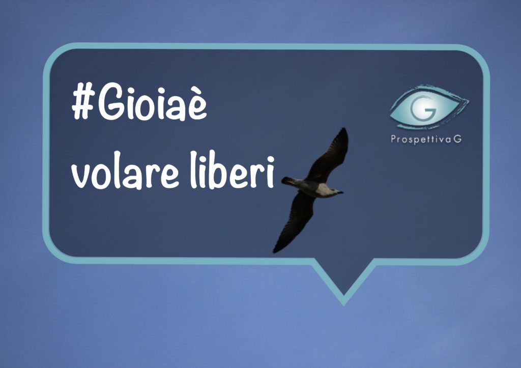 08 21 volare liberi